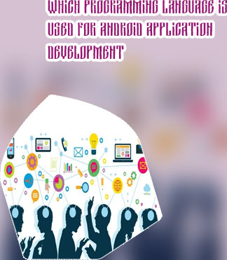 Application development language