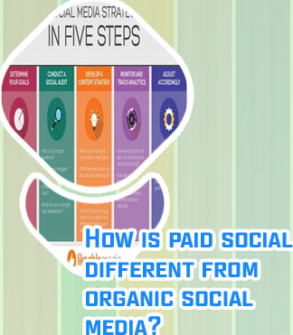 Paid social strategy